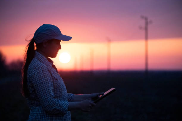 istock Electrical Energy at sunset. Engineer with tablet working on the field near Electrical Power station. 1363894315