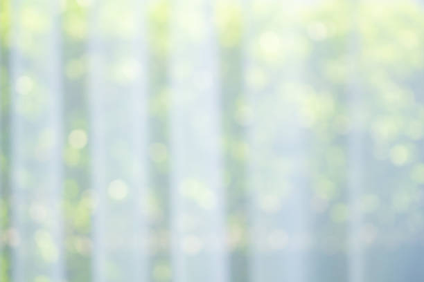istock Abstract blur curtain window with green garden background 1363894549