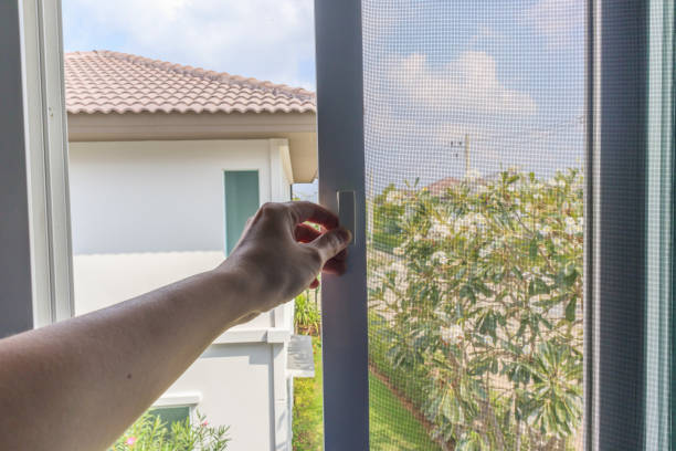 istock Hand hold mosquito net wire screen handle on house window 1363894691
