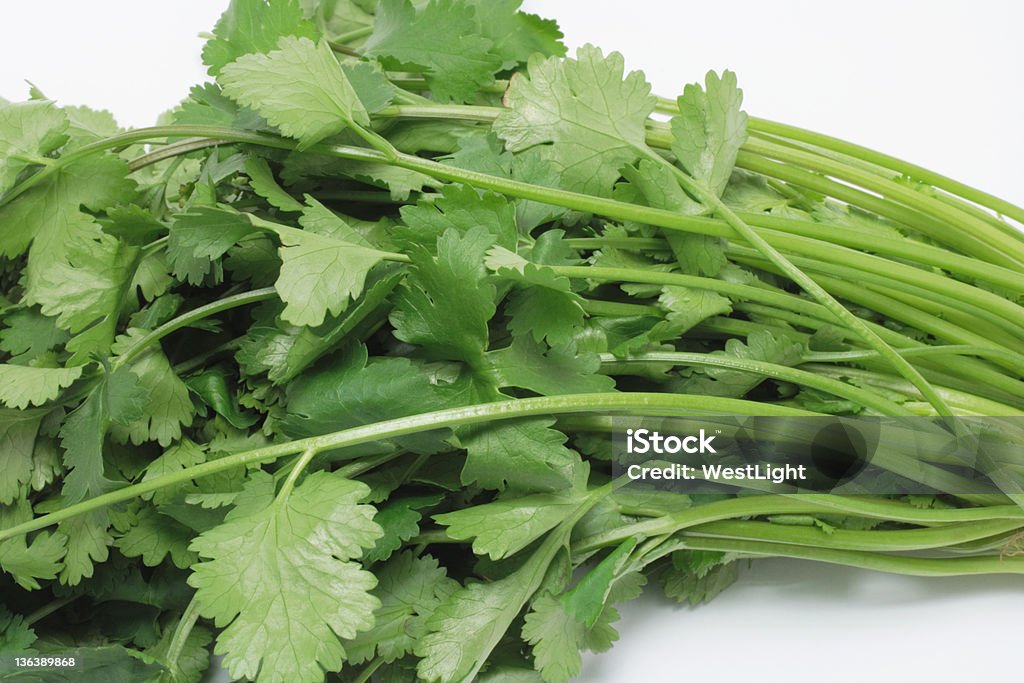 Cilantro - Foto de stock de Culantro libre de derechos