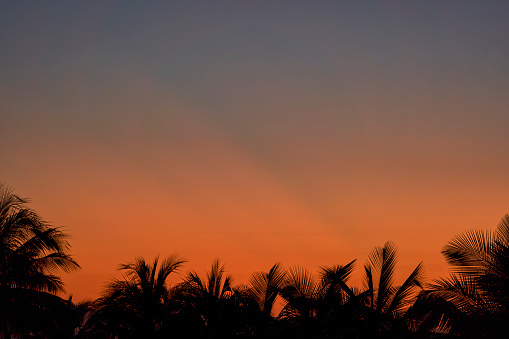 Beautiful sunset over palm trees on San Pedro Island in the Caribbean Nation of Belize