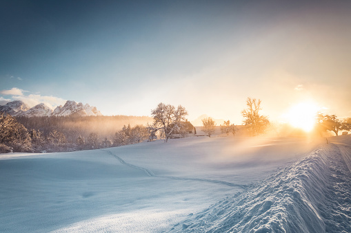 Winter sunrise in the snowy  landscape