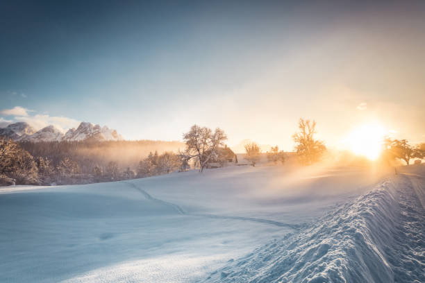 zimowy krajobraz - 3693 zdjęcia i obrazy z banku zdjęć