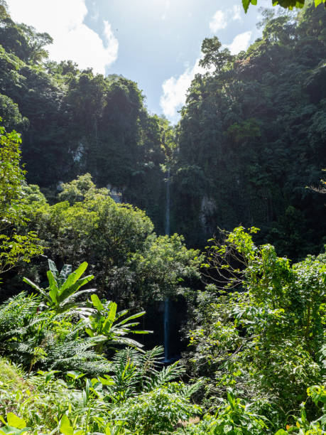 istock Camiguin Island. It's beautiful place in Philippines. 1363903429