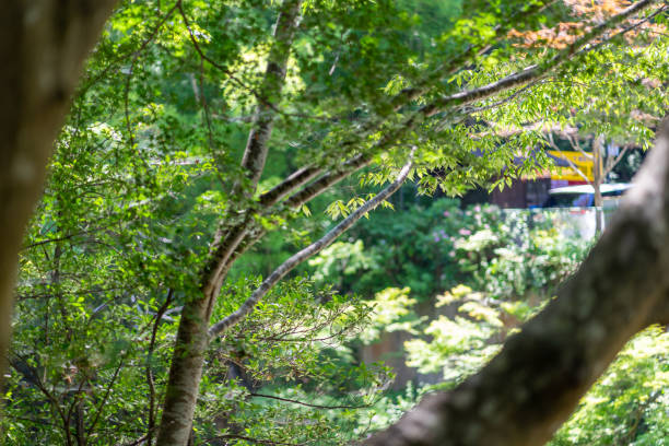 istock Fukuroda's waterfall. Ibaraki prefecture in Japan. Nice waterfall. 1363903523