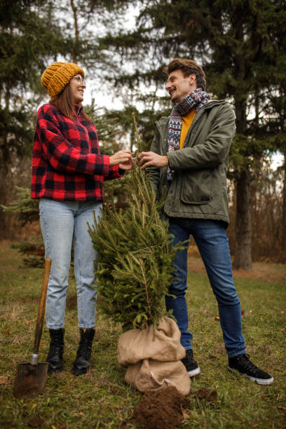 istock Couple replanting Christmas tree 1363903962