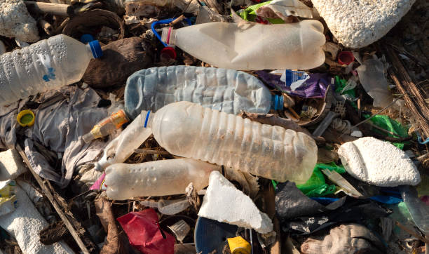 istock Polluted Sri Lankan beach with garbage 1363904756