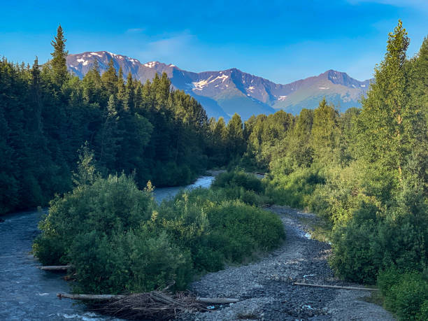 Mountain View on the Kenai Peninsula