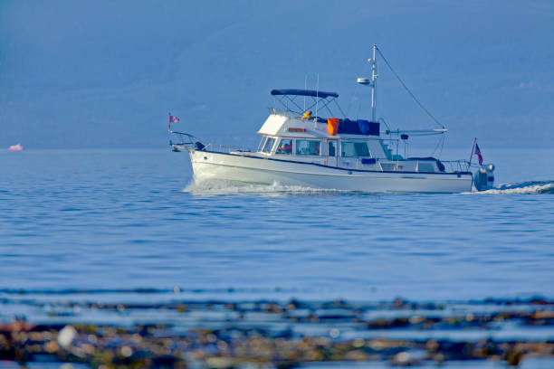 istock Victoria, Vancouver Island 1363911076