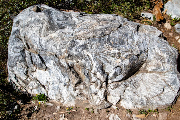 roccia gneiss metamorfica nella grand teton range, wyoming - gneiss foto e immagini stock