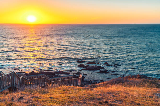 istock Hallett Cove boardwalk leading down the beach 1363923904