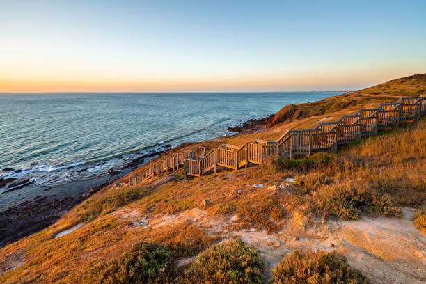 istock Hallett Cove boardwalk leading down the beach 1363923908