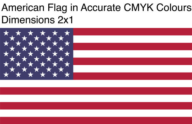 American Flag in Accurate CMYK Colors (Dimensions 2x1) vector art illustration