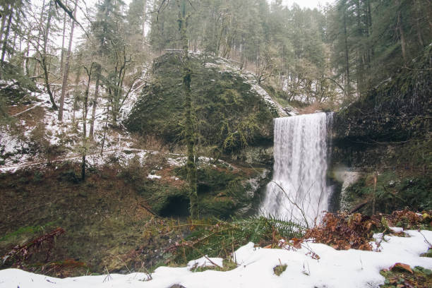 istock Silver falls state park oregon hiking winter forest 1363927222