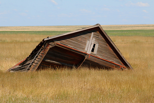 Outdoor rural landscape image of an old weathered abandoned wooden agricultural building that has partially collapsed in a pasture of dried brown grass.