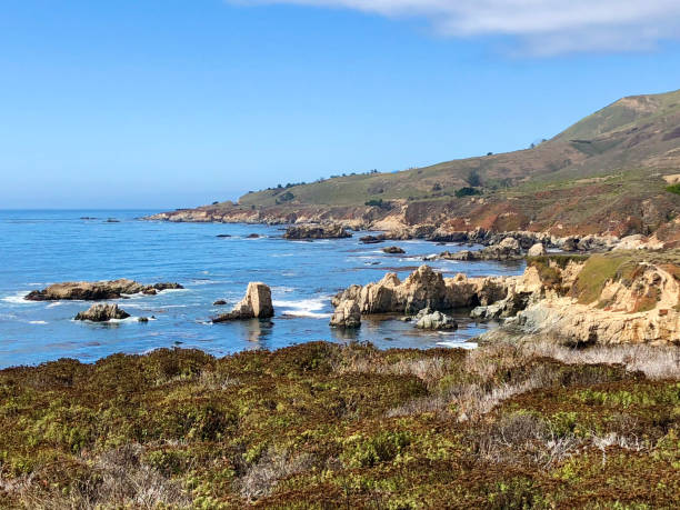 海岸 - point lobos state reserve big sur california beach ストックフォトと画像