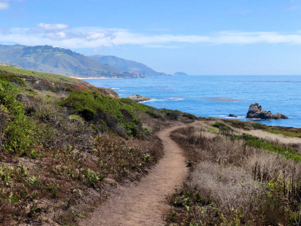 поход - point lobos state reserve big sur california beach стоковые фото и изображения