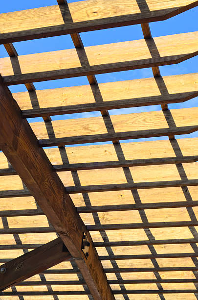 istock Pergola symmetry in sunlight 136393184