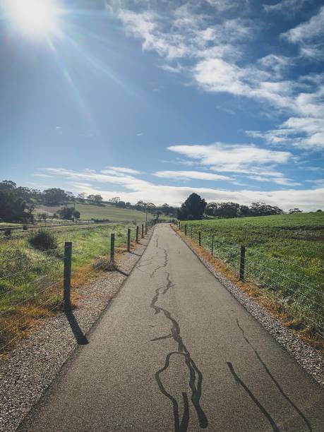istock Bike track 1363943116