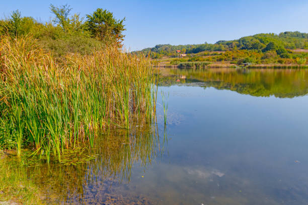 istock Landscape over calm lake, blue sky 1363948148