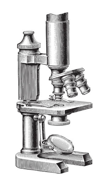 Old microscope - vintage engraved illustration illustration from Meyers Konversations-Lexikon 1897 laboratory drawings stock illustrations