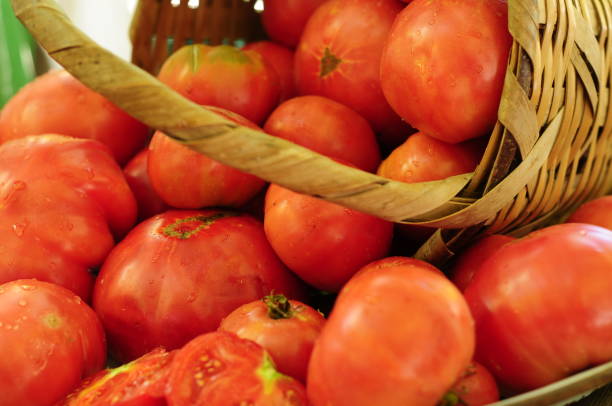 istock Freshly tomatoes in a basket 1363952401