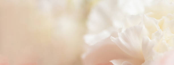 istock Close up of tender bouquet. 1363954673