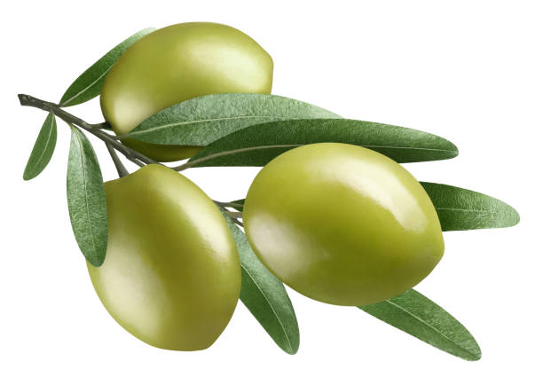 istock Olive branch with three delicious olives on white 1363954982