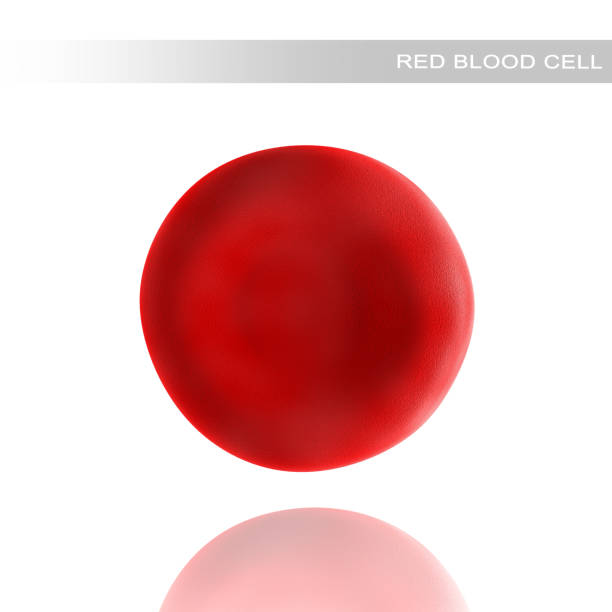 istock Red blood cells on a white background. 3d illustration 1363957169