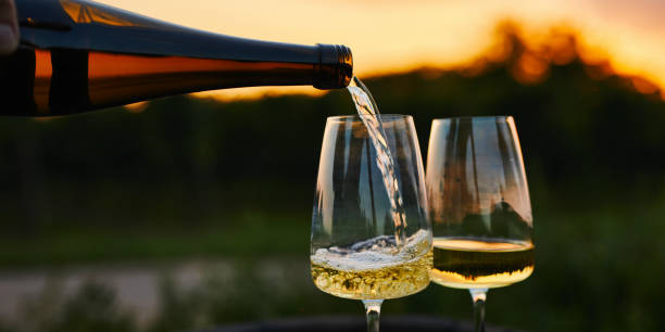 Pouring white wine into glasses in the vineyard Pouring white wine into glasses in the vineyard at sunset champagne grapes stock pictures, royalty-free photos & images