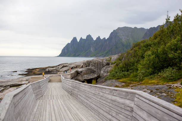 tungeneset, senja, noruega, hermoso puente de madera - beach family boardwalk footpath fotografías e imágenes de stock