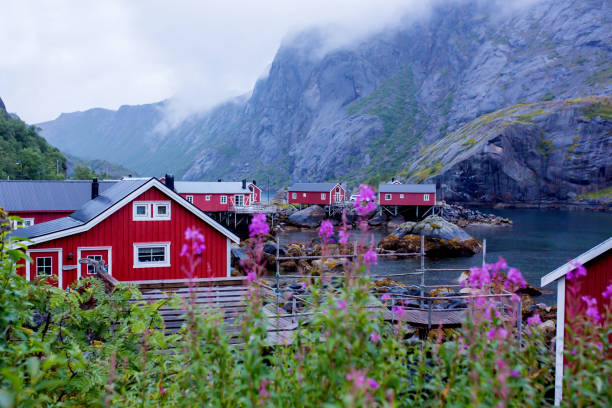 typical rourbuer fishing cabins in lofoten nusfjord village on a rainy day, summertime. traditional norwegian house - rain snow sun beauty imagens e fotografias de stock
