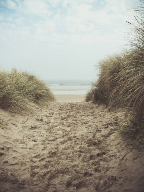 Oregon Sand Dunes