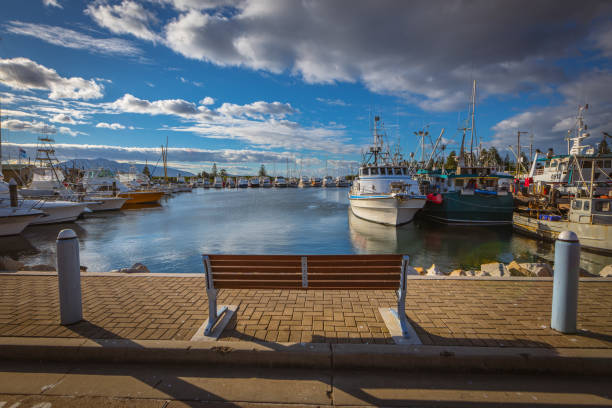 istock Bermagui fisherman's wharf 1363972602