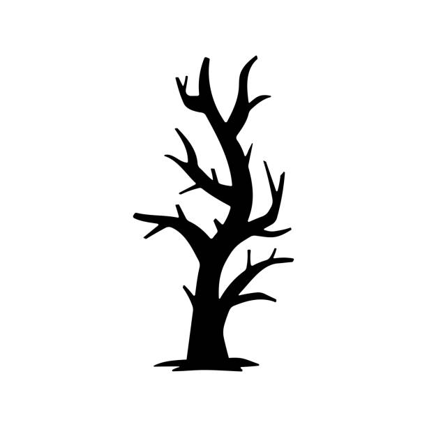 ilustraciones, imágenes clip art, dibujos animados e iconos de stock de icono de árbol. silueta negra. vista lateral frontal. ilustración gráfica plana simple vectorial. el objeto aislado sobre un fondo blanco. aislar. - tree branch burnt silhouette