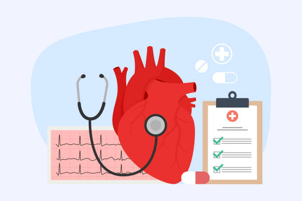 심장학 개념. 인간의 내부 장기 치료 및 진단. - stethoscope human cardiovascular system pulse trace healthcare and medicine stock illustrations