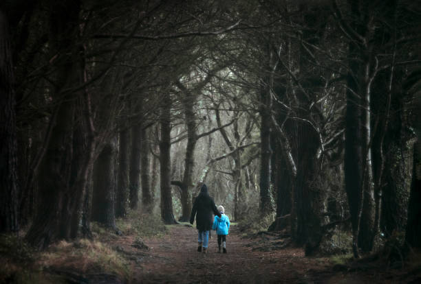 istock Woodland Walk 1363974273