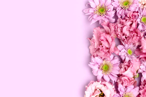 istock Frame made of eustoma and aster flower texture on a purple background. 1363976408