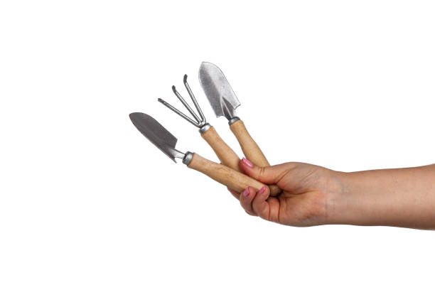 istock Female hand holds scoops for plant care 1363976728