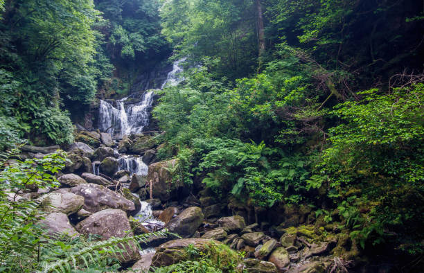 istock Ring of Kerry, Wild Atlantic Way, West Ireland 1363976751