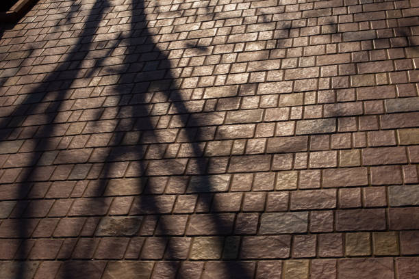 Shadows and silhouettes of a person walking in motion blur and trees in autumn sunset sunlight on city street sidewalk