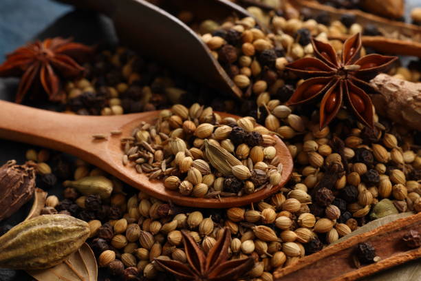 masala garam - cardamom cinnamon mortar and pestle herb photos et images de collection