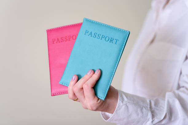 istock A woman's hand holding two passports on a gray background. 1363983736