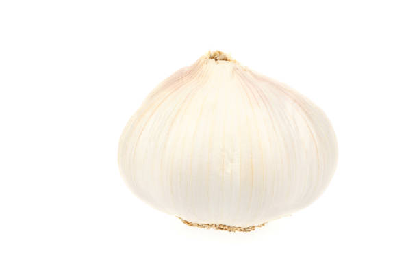 Garlic isolated on white background. High resolution photo. Full depth of field.