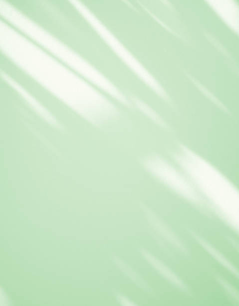 superposición de sombra verde de ventana natural sobre fondo blanco claro mínimo limpio. - vertical color image nobody collage fotografías e imágenes de stock