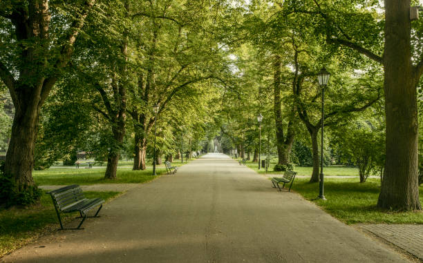 istock Parkway in a public park in a city 1363985824