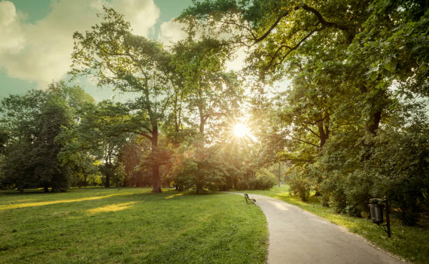 istock Public park in a city 1363986954