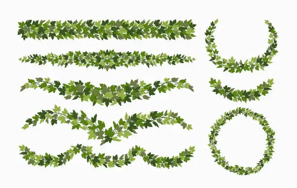 Vector illustration of Ivy vector vines and wreaths, and decorative elements made of green leaves, isolated on white background. Vector illustration in flat cartoon style