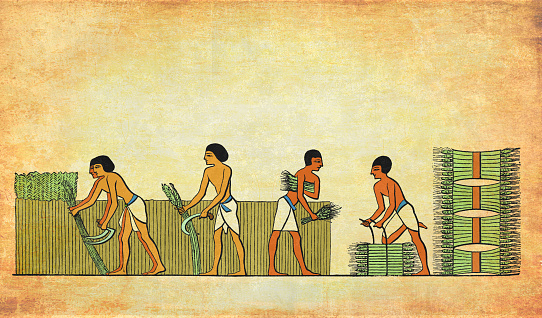 Ancient Egypt costumes: farm work, slaves harvesting plants and making bundles