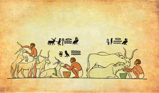 istock Ancient Egypt costumes:slaves attending cows and goats and feeding the farm animals 1363987681